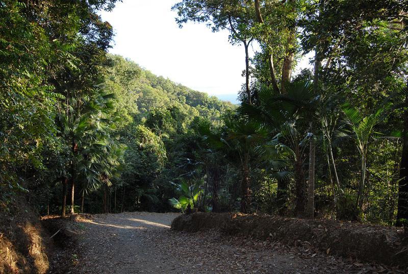 Cloud 9 Villa Daintree Exterior photo